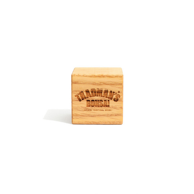 KINOCO × TRADMAN’S BONSAI CUBE 詳細画像